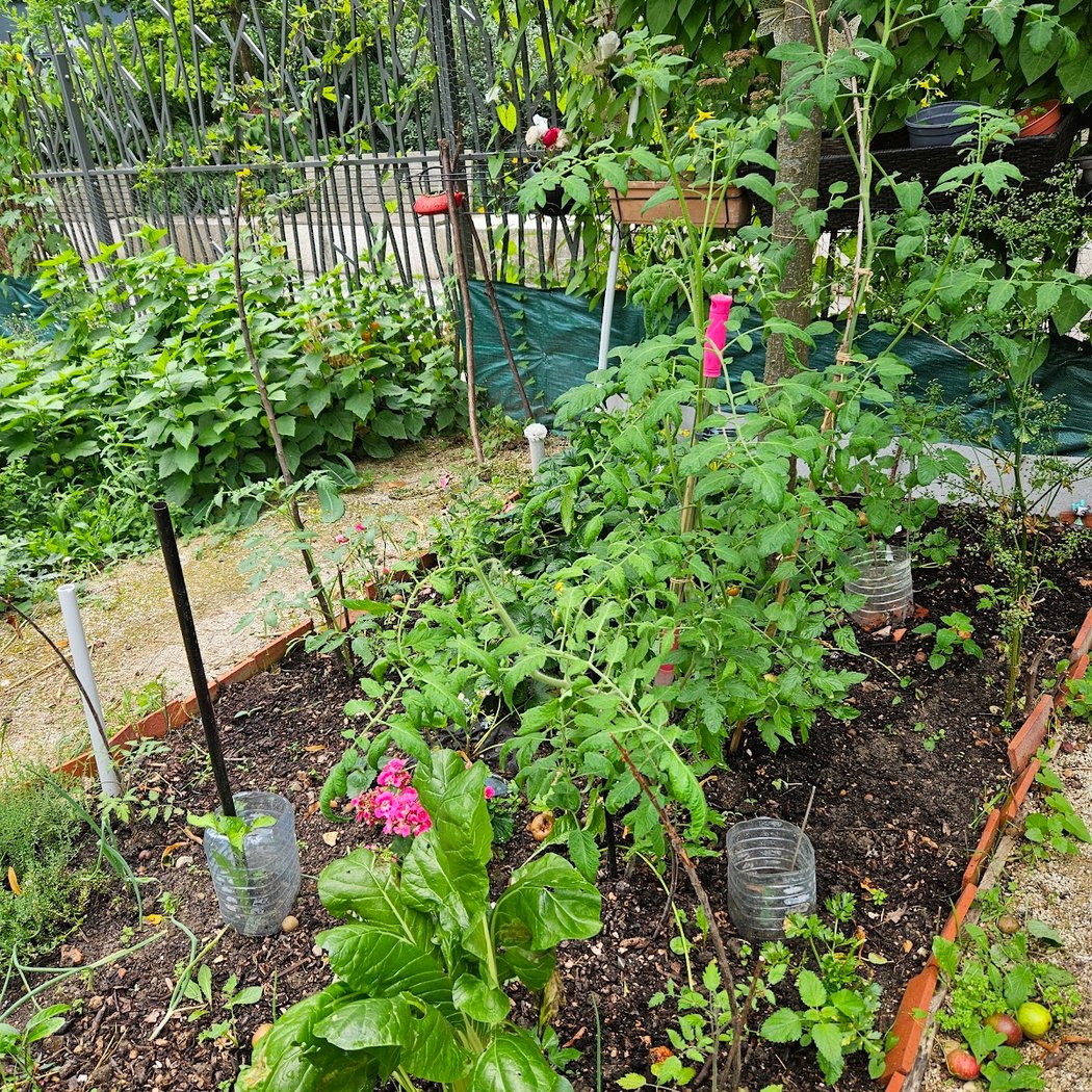 Les potagers du théâtre Victor Hugo 3